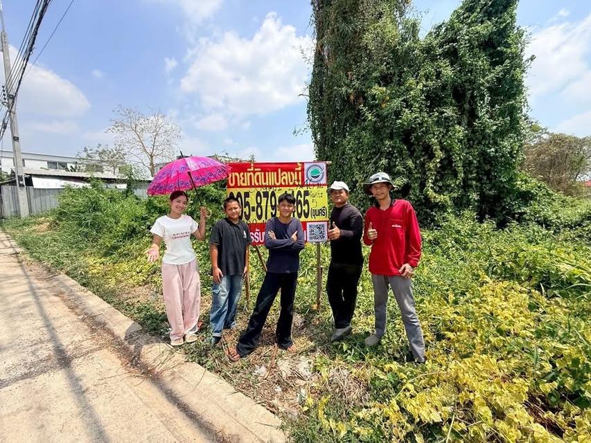 ขายที่ดินใกล้รถไฟฟ้า 309 ตารางวา - ติ ติดถนนสาธารณะ ต.คูคต อ.ลำลูกกา จ.ปทุมธานี