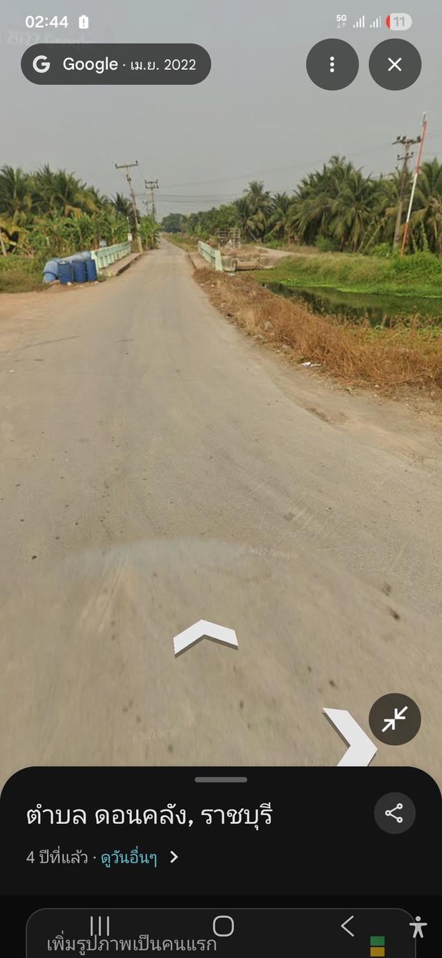 ขายที่ดินพร้อมสวนมะพร้าวน้ำหอมพร้อมเก็บผลผลิต 6