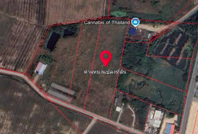 ขายที่ดินเปล่า ทำเลสวย เนื้อที่ 8 ไร่ ที่ตั้ง : ต.หนองบอนแดง อ.บ้านบึง จ.ชลบุรี 2