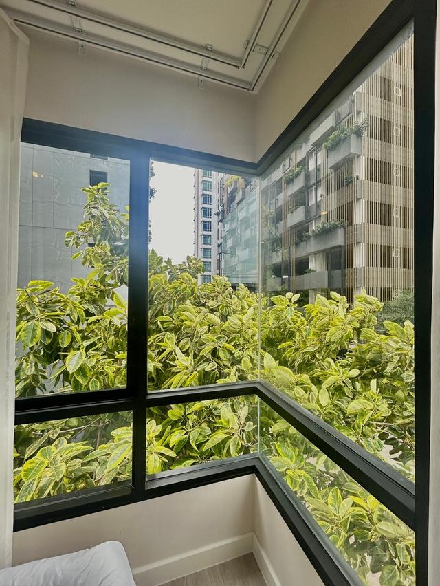 คอนโด The shy Sukhumvit 2