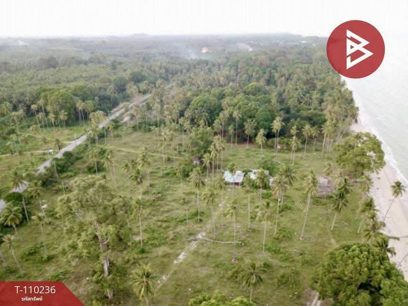 ขายที่ดินติดทะเล เนื้อที่ 45 ไร่ 3 งาน 21.0 ตารางวา ตำบลสระแก้ว ท่าศาลา นครศรีธรรมราช 11