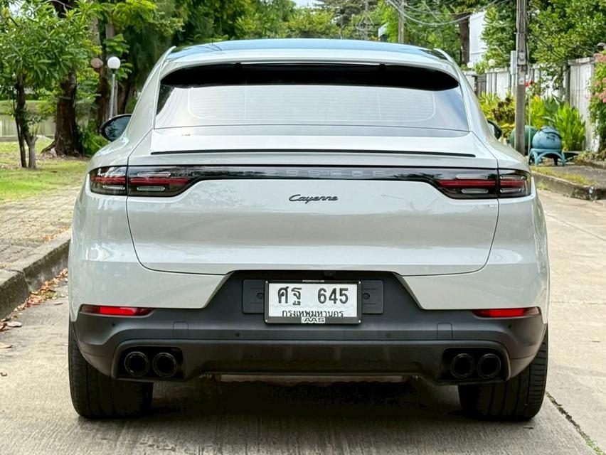 Cayenne Coupe Platinum 10
