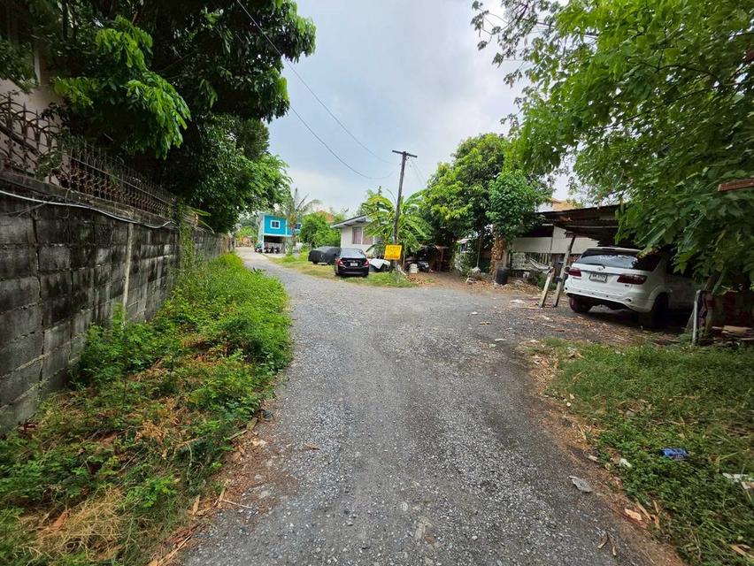 ขายที่ดิน ซอยวิภาวดี41 ซอย8(ลูกรัง) ใกล้สนามบินดอนเมือง 2