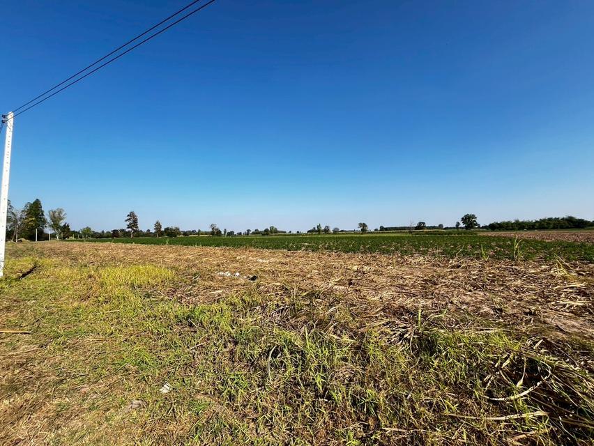 ขายที่ดินเปล่า แปลงใหญ่ ใกล้สนามกอล์ฟ สิงห์ปาร์ค ขอนแก่น รูปที่ 7