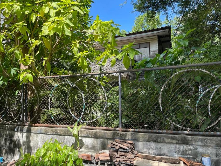 บ้านเดี่ยวทำเลดีมากๆ พระรามเก้าซอย 13 เนื้อที่ 50 ตารางวา เดินทางสะดวกเข้าออกได้จากถนนพระราม9 รัชดาภิเษก ใกล้รถไฟฟ้าศูนย์วัฒนธรรม เซ็นทรัลพระราม9 5