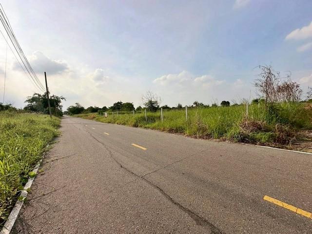 ขายที่ดินเปล่า เนื้อที่ 153 ตารางวา ซอยบึงบอน 3 ถนนเลียบคลอง 8 ตะวันออก ตำบลบึงบอน อำเภอหนองเสือ จังหวัดปทุมธานี 6