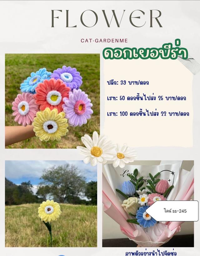 ดอกไม้กำมะหยี่ ปลีก-ส่ง