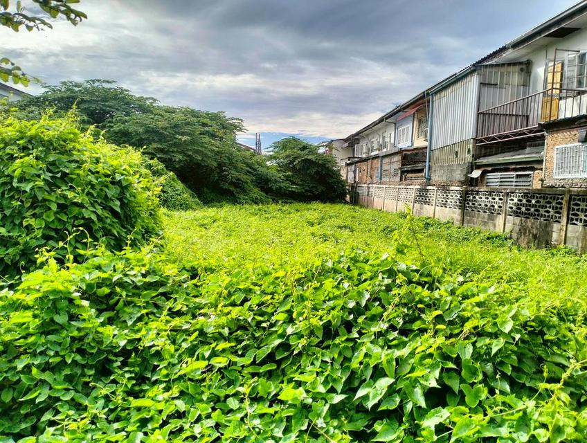 ขายที่ดินทำเลทอง ศักยภาพสูง ติดแนวรถไฟฟ้า 5