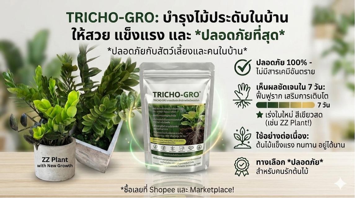 ไตรโคเดอร์มา เห็นผลไวแม่ยายยังถามซื้อ รูปที่ 14