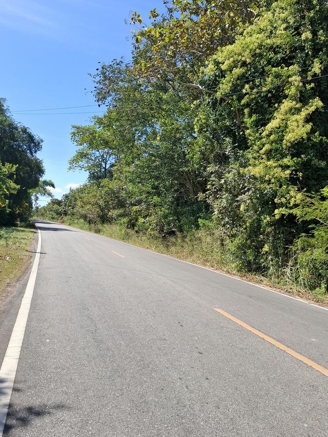 ที่ดิน แปลงเล็ก ติดถนนลาดยาง 6