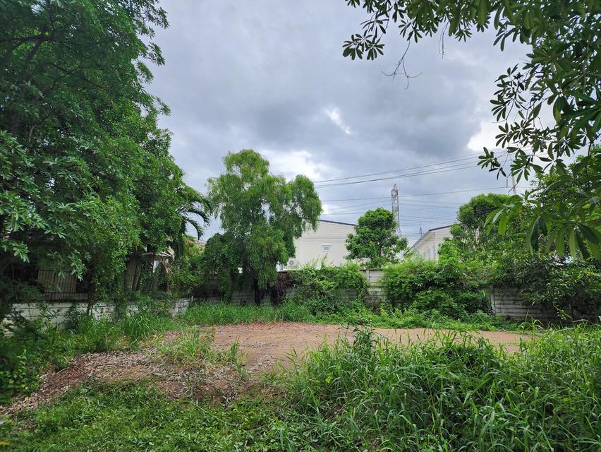 ขายที่ดิน 68 ตร.ว ในหมู่บ้าน Neo City ดอนเมือง กรุงเทพฯ เจ้าของขายเอง