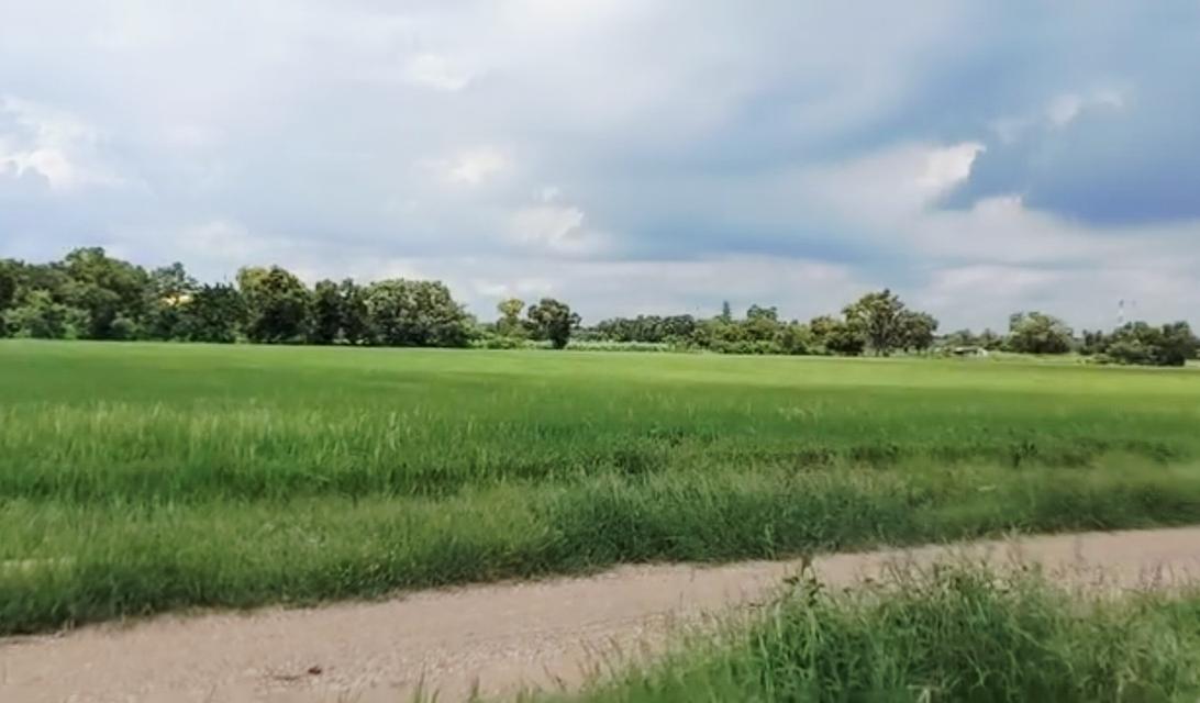 ขายที่ดินคลองหลวงคลองห้า 2