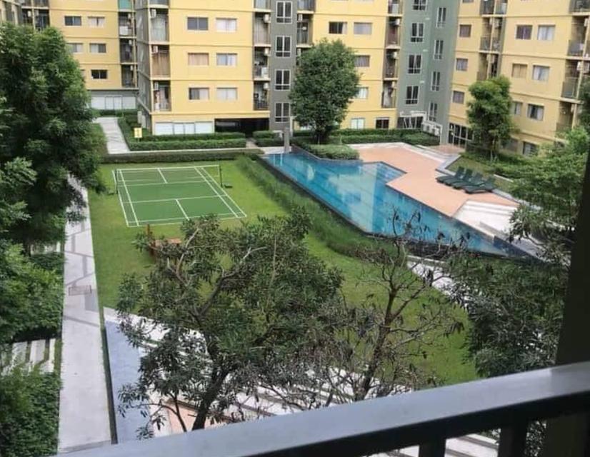 Plum Condo Park Rangsit ให้เช่าราคาถูก 4