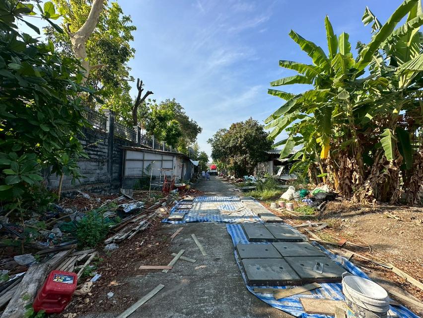 ที่ดินเปล่า 353 ตร.ว. แปลงสวย ถนนแบริ่ง - ลาชาล (ซอย แบริ่งตัดใหม่ 7) ใกล้BTS แบริ่ง 8