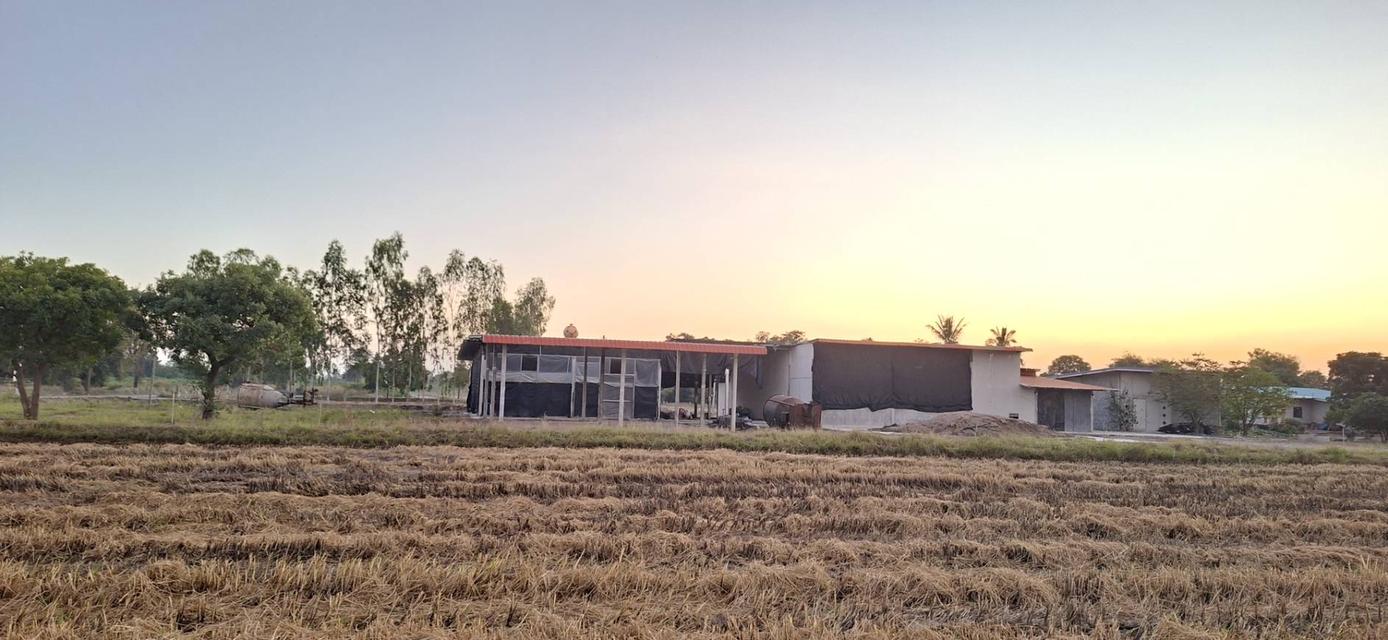 ที่ดินพร้อมสิ่งปลูกสร้าง 1