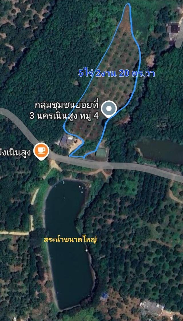 ขายที่ดินสวนทุเรียน เนื้อที่ 5 ไร่ 2 งาน 20 ตร.วา ต.เขาวัว อ. ท่าใหม่ จ.จันทบุรี 1