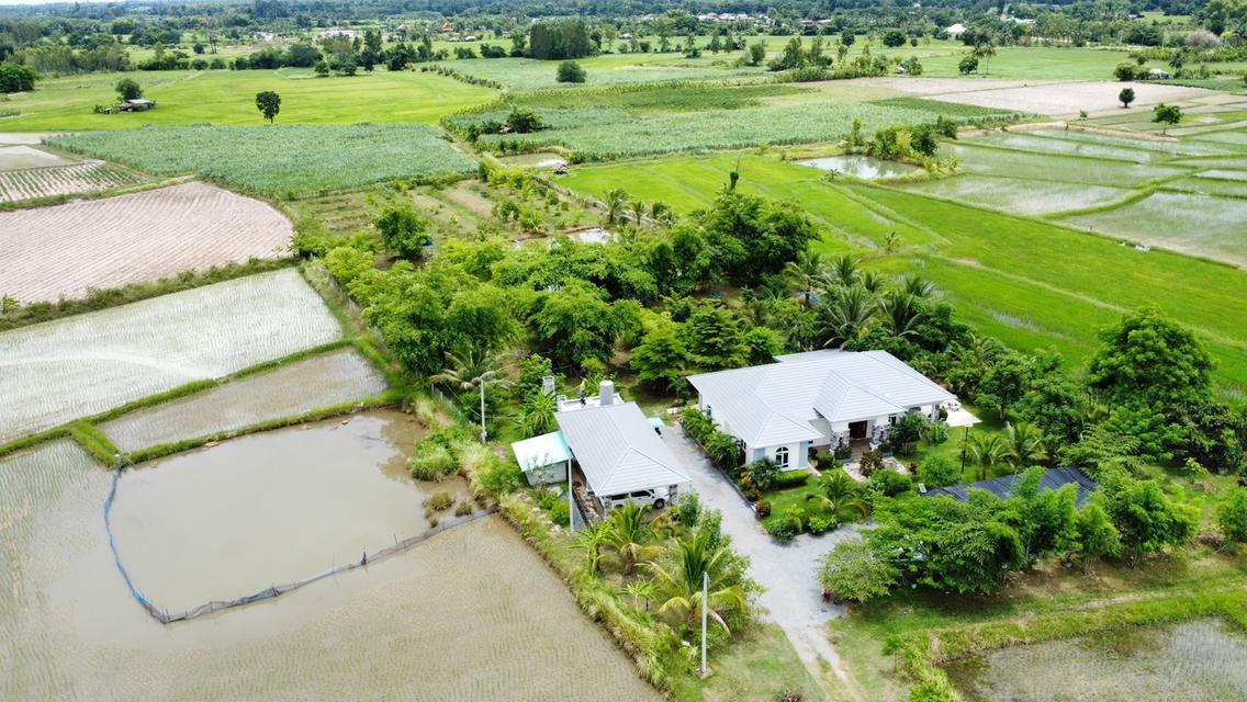 ขายบ้านสวนพร้อมที่ดินขนาดใหญ่ จ.อุดรธานี (H1SS-421) 14