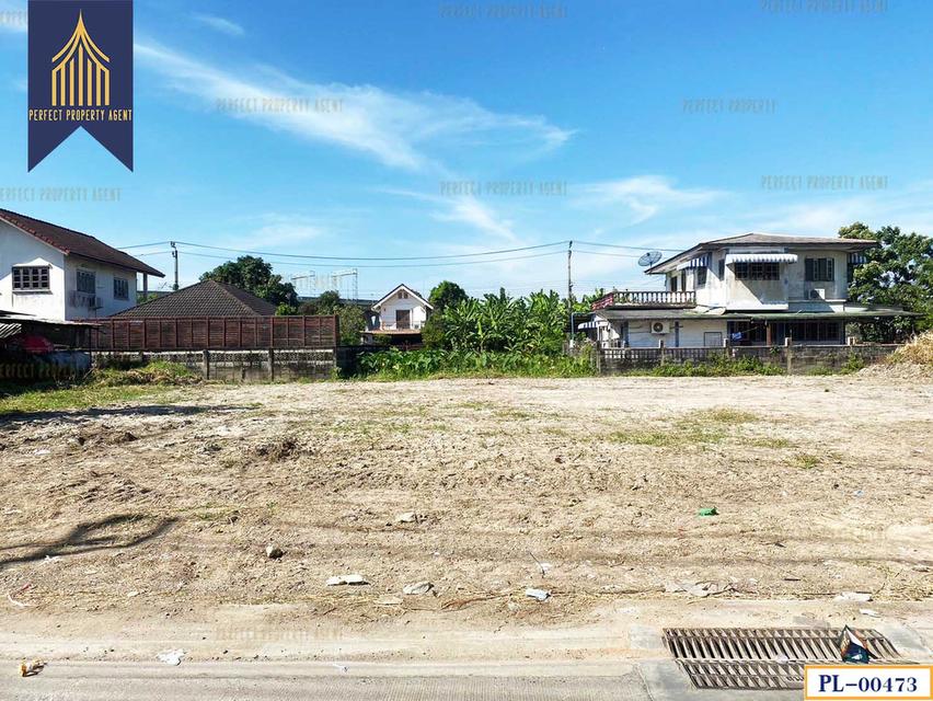 ขายที่ดิน ซอยสวนผัก 29 ตลิ่งชัน กรุงเทพมหานคร เดินทางสะดวก  ใกล้ MRT 14