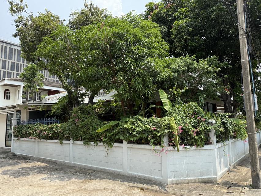 ขายบ้านเดี่ยว ย่านสะพานควาย หมู่บ้านจตุรมิตร ซอยประดิพัทธ์ 15 2