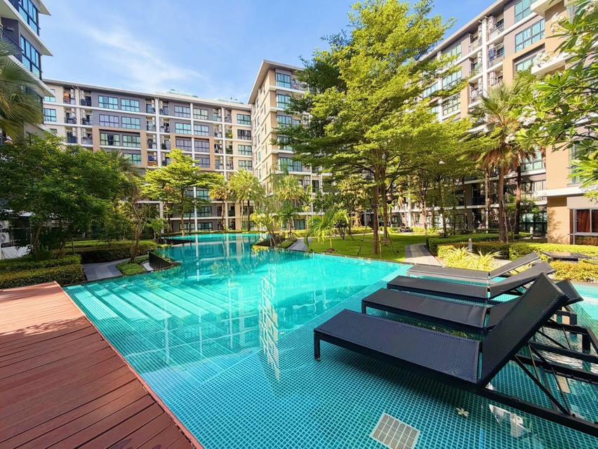 ขายด่วน! คอนโด ฮอลล์มาร์ค งามวงศ์วาน  ห้องสวย สภาพดี บรรยากาศร่มรื่นสไตล์รีสอร์ท ใกล้ทางด่วน เดอะมอลล์งามวงศ์วาน Hallmark Ngamwongwan 2