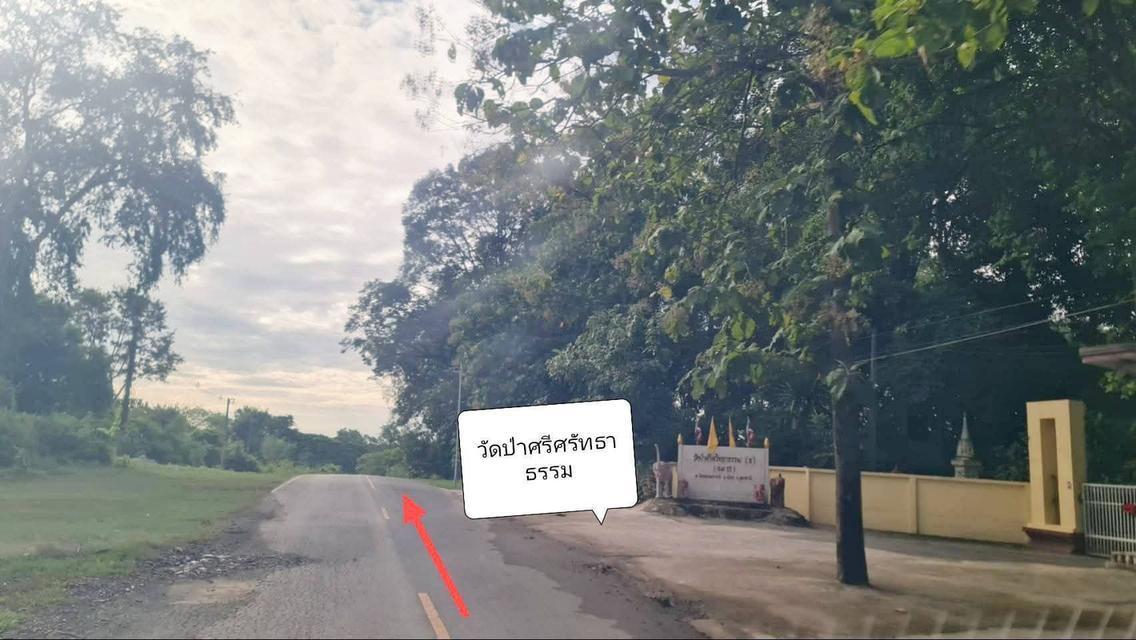 ที่ดินอุดรธานี 5 ไร่ 21 ตารางวา 5