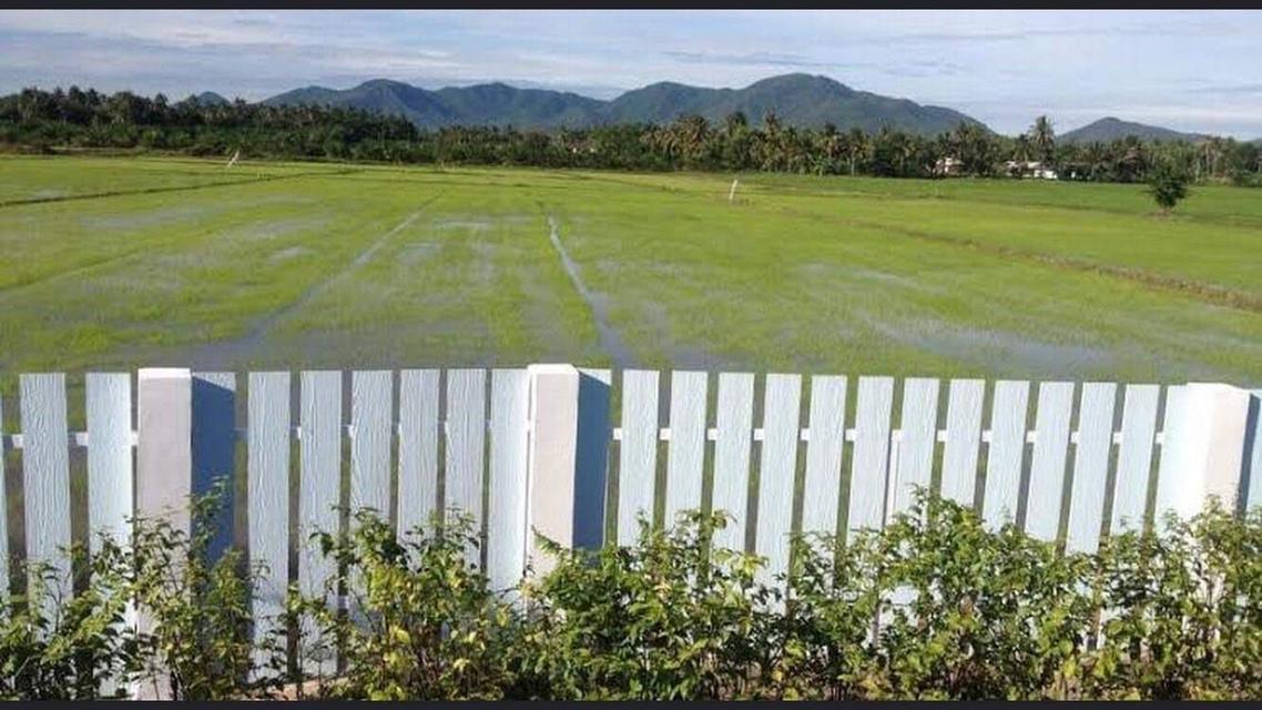 ขายที่ดินชะอำ 4 ไร่ ราคาไร่ละ 2,000,000 ล้านบาท ใกล้ถนนเพชรเกษม 100ม. ห่างจากทะเลชะอำ 10 กม 9