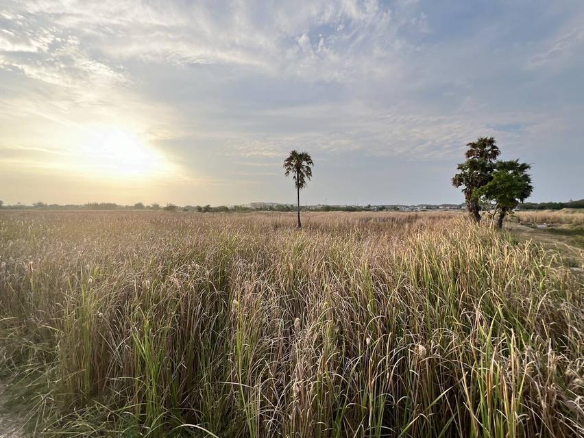 ที่ดินทำเลศักยภาพ บริเวณด้านหลัง เซ็นทรัล นครปฐม อำเภอเมืองนครปฐม ตำบลนครปฐม จังหวัดนครปฐม 73000 11