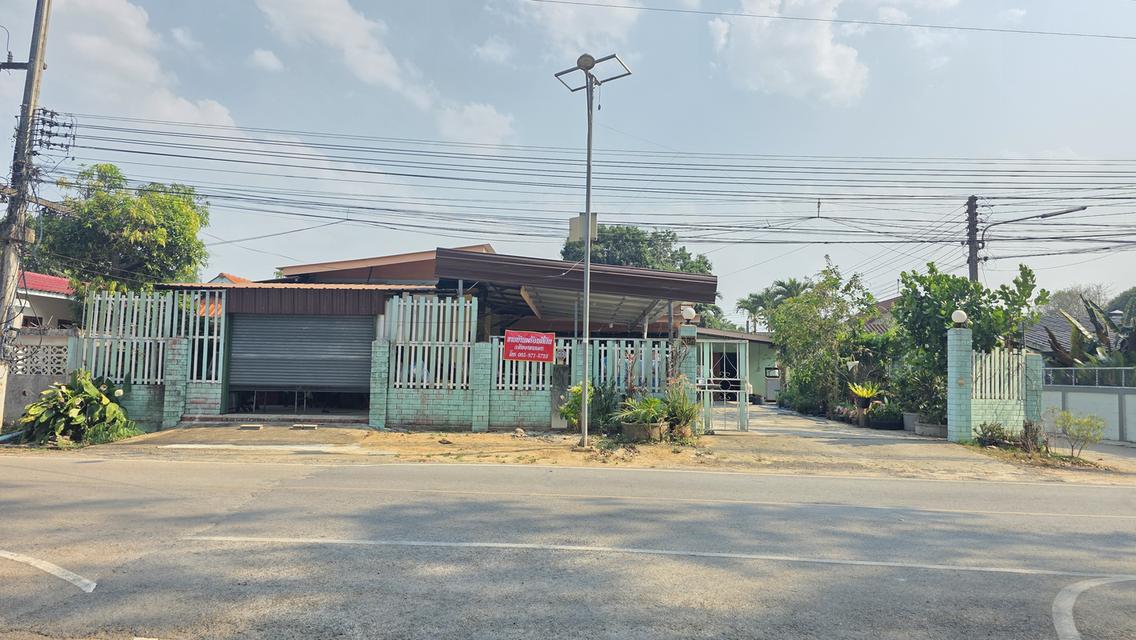 ขายด่วน ขายบ้านพร้อมที่ดิน อำเภอเวียงป่าเป้า จังหวัดเชียงราย 1