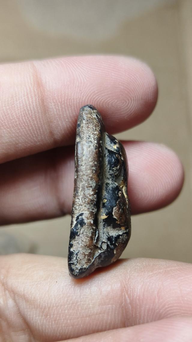 พระปิดตาหลวงพ่อแก้ววัดเคลือวัล พิมพ์ 5 เหลี่ยม รูปที่ 3