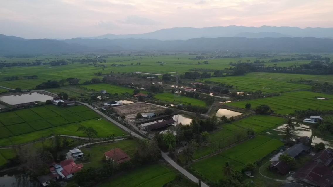 pcr2613 ขายบ้านพร้อมที่ดิน เนื้อที่ 10ไร่ 1งาน 93ตรว. เพียง 8,000,000บาท ต.เมืองพาน อ.พาน จ.เชียงราย 4