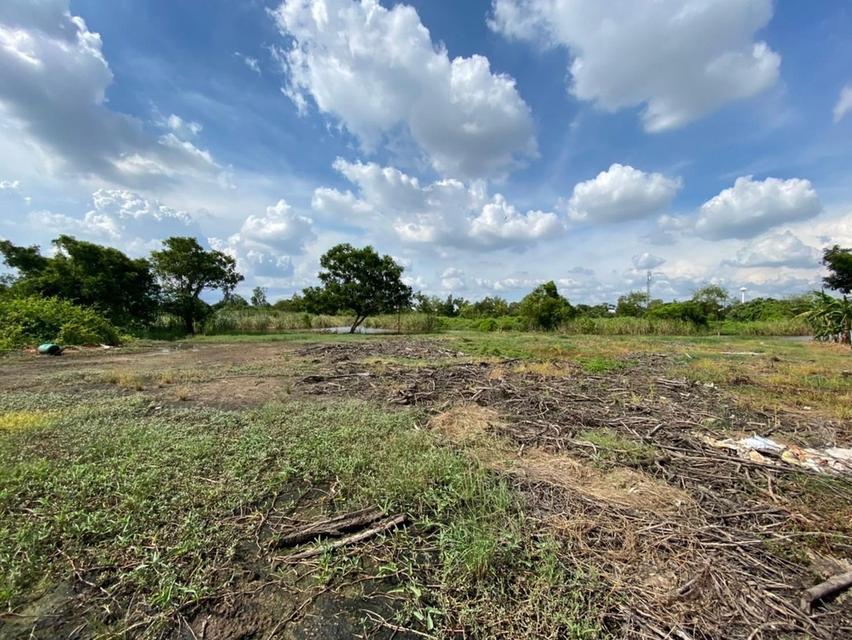 ที่ดินเปล่า 256 ตร.ว. ติดเลค ใกล้สนามกอล์ฟบางปู 1.2 กม. สมุทรปราการ สงบ เป็นส่วนตัว 4