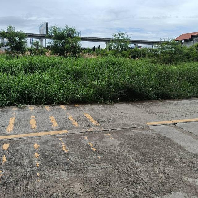 ให้เช่า ที่ดิน เนื้อที่ 5 ไร่ ถนนประชาทร ลาดกระบัง 3