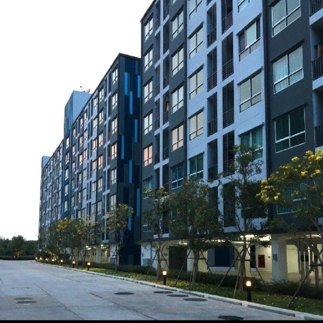 ขายคอนโด The Kith Plus พหลโยธิน-คูคต โครงการ D เฟสใหม่ เฟอร์นิเจอร์ครบ | Digital Door Lock ทำเลดีใกล้ BTS คูคต 1