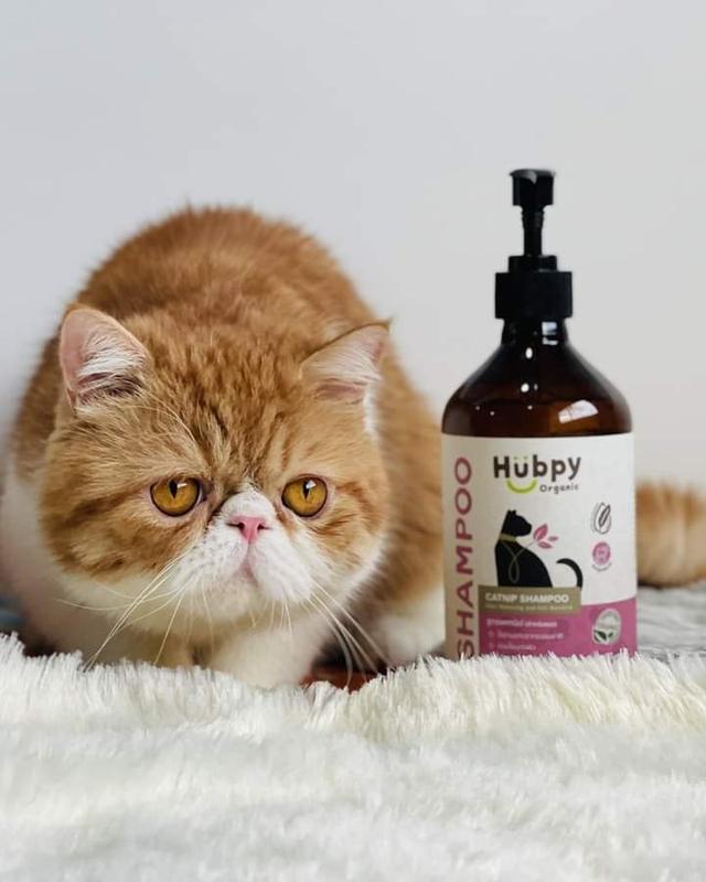 CAT Shampoo Biosal & Copper Peptide  2