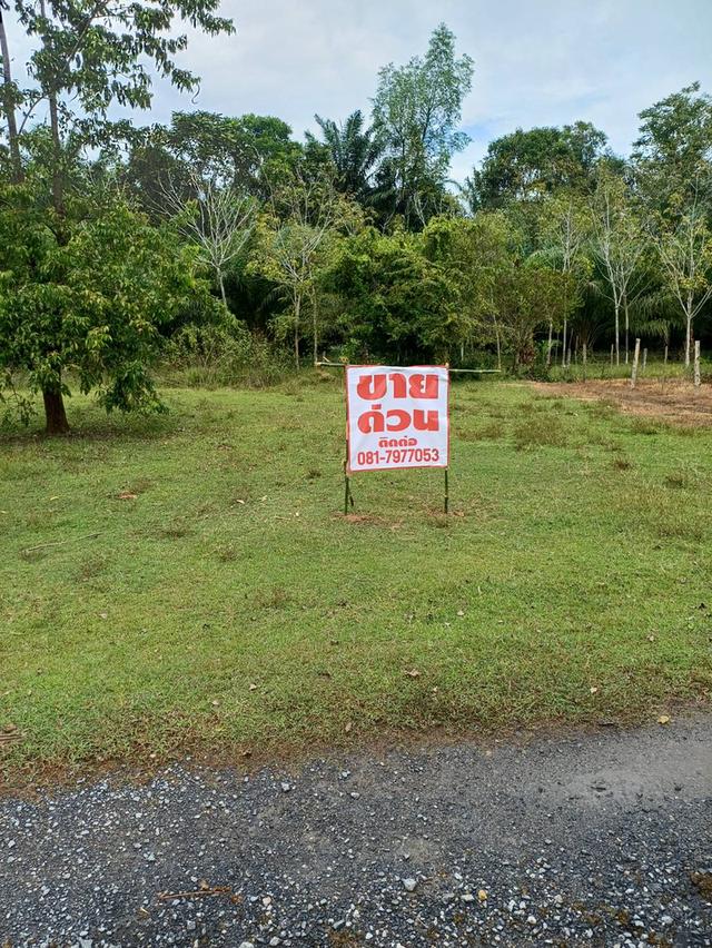 ที่ดินเปล่า เนื้อที่ 1 งาน เหมาะปลูกบ้าน 1