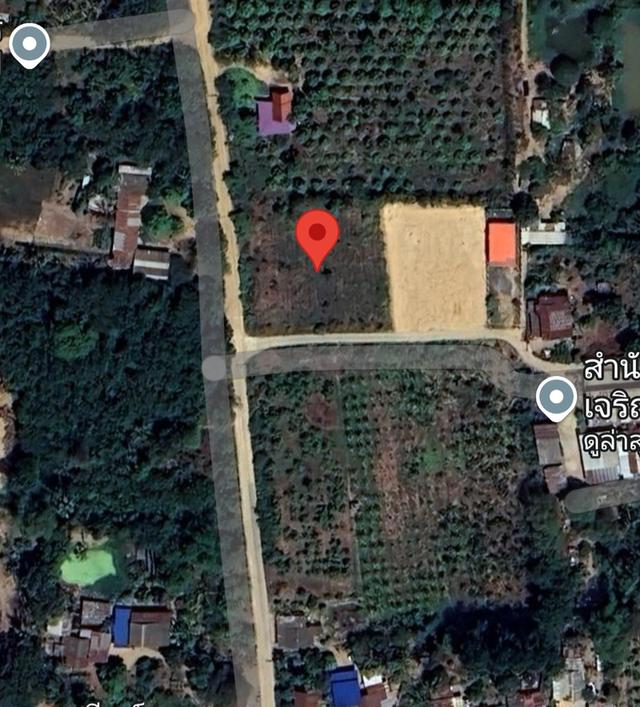 ที่ดิน 1