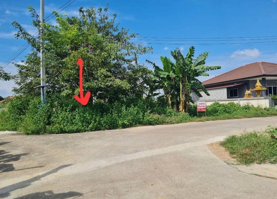 ขายที่ดินเปล่าชุมชนท่าม่วง จ.กาญจนบุรี 2