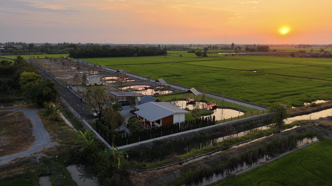 บ้านสวนโมริ ที่ดินสวนเกษตรพัฒนาแล้ว  สองพี่น้อง สุพรรณบุรี 8