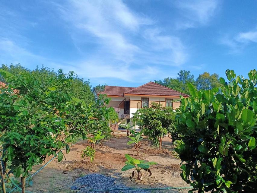 บ้านพร้อมที่ดิน 1 ไร่ 2