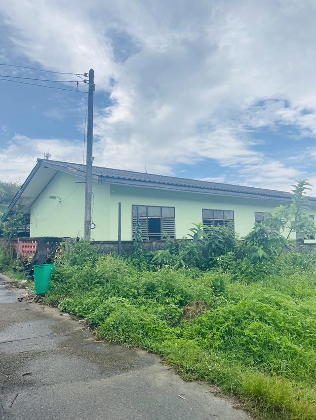 ที่ดิน 3