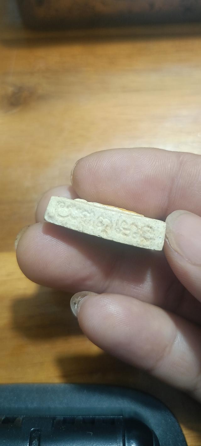 เหรียญสมเด็จ หลวงปู่ศุข วัดปากคลองมะขามเฒ่า หลังหัวเสือ