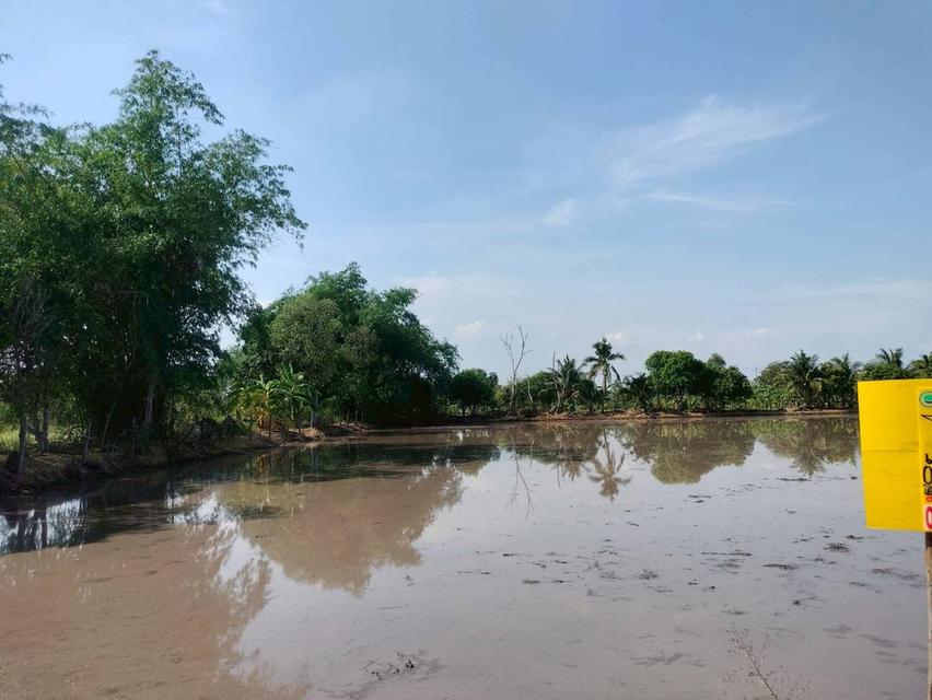 ขายด่วนที่ดิน 765 ตรว ติดถนนสาธารณะ เลียบคลองสิบสามฝั่งตะวันออก 38 หนองจอก กทม. 5