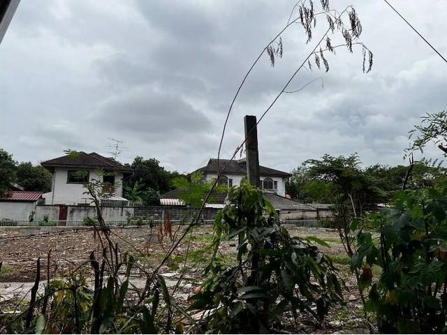 ขายที่ดิน 145 ตรว. ย่าน สุขุมวิท 101 ปุณณวิถี 43 เหมาะสร้างบ้าน สำนักงาน หรือลงทุน 4