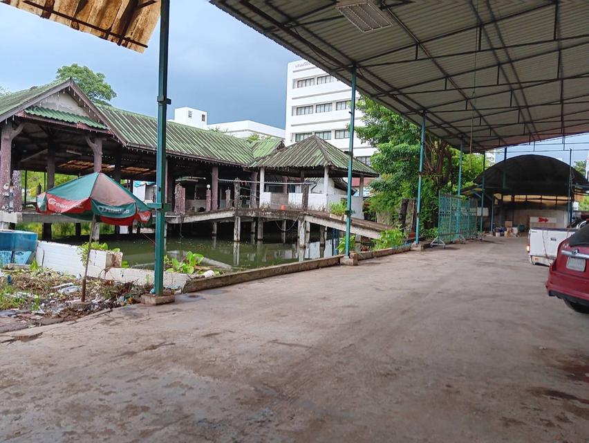 ที่ดิน4ไร่ให้เช่า 3