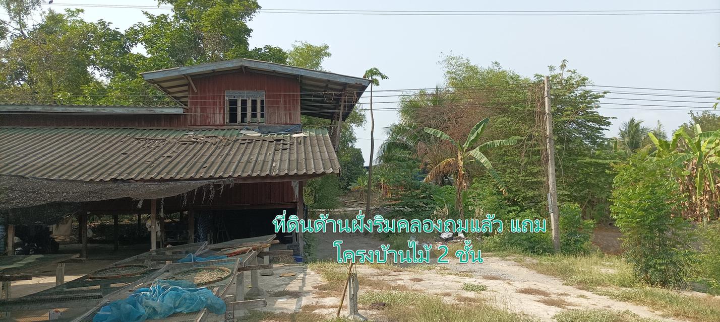 ที่ดินติดถนน 346 บางเลน ที่อยู่ด้านข้างและด้านหลัง อบต.บางภาษี เนื้อที่ 11ไร่ ลดพิเศษ เหลือไร่ละ 1.5 ล้าน 2