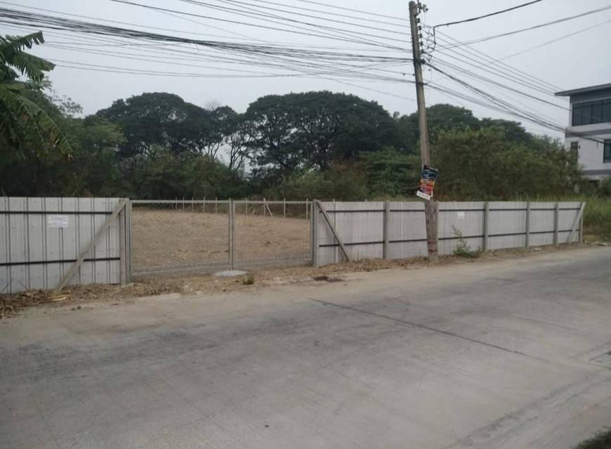 ขายที่ดินอ่อนนุช53 พัฒนาการ ศรีนครินทร์ สุขุมวิท77 252ตร.ว ถนนหน้าที่กว้าง สร้างอพาร์ทเมนท์ได้ น้ำไม่ท่วม ใกล้ซีคอน สวนหลวงร.9 0879074045