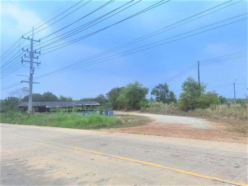 รูป ขาย ที่ดิน ME305 แปลงใหญ่ ราคาถูก หนองอิรุณ บ้านบึง ชลบุรี . 103 ไร่ 70 ตร.วา ติดถนนสาธารณะ ใกล้ถนน 331 เพียง 4 Km. 1