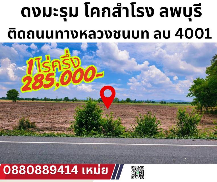 ที่ดิน ดงมะรุม โคกสำโรง ลพบุรี ติดถนนลาดยาง