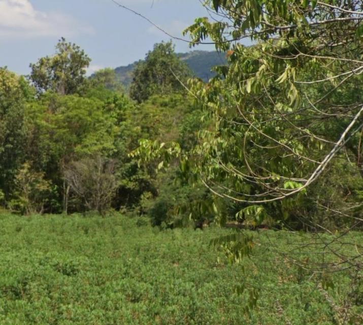 ขายด่วนที่ดินเปล่าวิวเขา จังหวัดปราจีนบุรี สนใจติดต่อ 0661120133 3