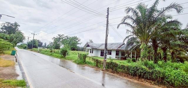 ที่ดิน 54 ไร่ 139 ตร.ว มีครบ! สวนยาง–สวนปาล์ม–บ้าน–น้ำใช้ตลอดปี จ.สระแก้ว 3